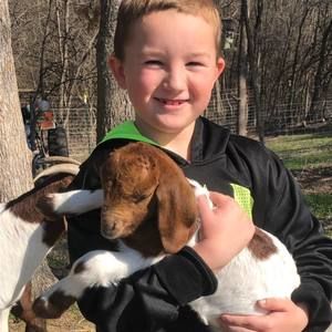 Meet your Posher, Barbara